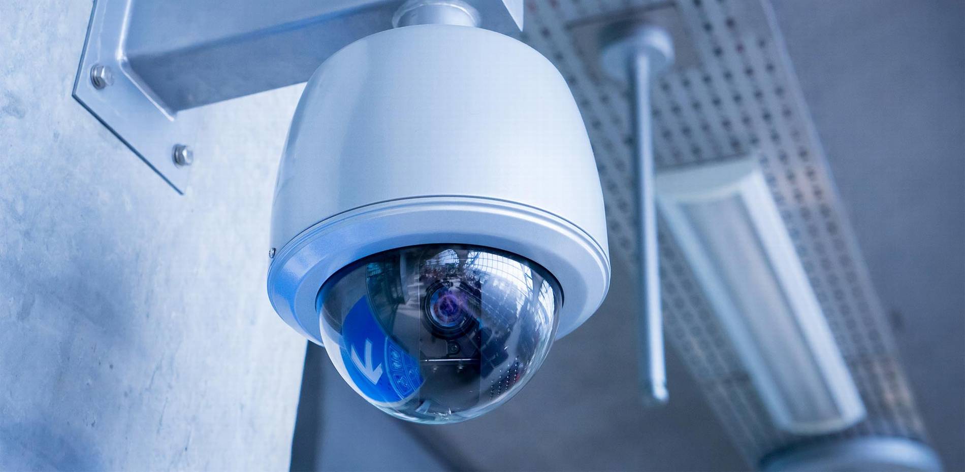 #1 Best Security Camera Company: CAT6 CAT7 CAT8 Network vs Wiring Installer Low Voltage Fiber Optic Winter Garden
